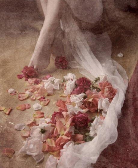  L’ULTIMO PETALO DEL GIORNO