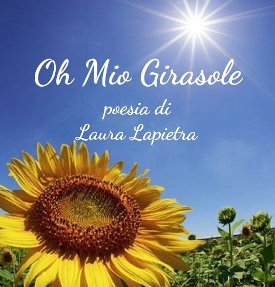  Oh Mio Girasole&nbsp;